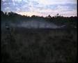 Bosbrand Schijf