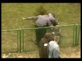 Polski Pijak Polski Pijak