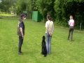 BeginnerFinnPeine   Einzelteil