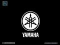 Yamaha Tyros3 Angles Movie
