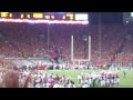Badgers Jump Around !