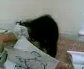 Saachi and Suruchi coloring Saachi and Suruchi coloring