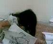 Saachi and Suruchi coloring