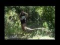videos de Pinåsløpet 2008