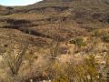 GCD86E Panther Canyon Adobe