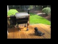 Traeger Video