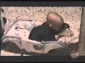 Vidéo Gag, Chute ... Compil Drole