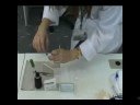 Visualizacao de celulas de tecido eptelial Visualizacao de celulas de tecido eptelial