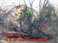 videos de AZCRO THERMAL 1