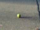 Squapple