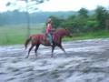 Wonder Otoe Panama Jet mare for sale loping barrels