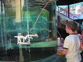 ROV Family Event 4/5/08