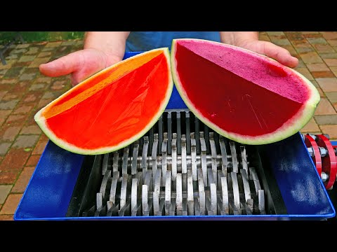 JELLY WATERMELON VS FAST SHREDDER! AMAZING VIDEO!