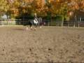 MovieClip 2416