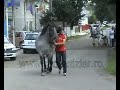 Chlapec dostal kopanec do hlavy od koňa