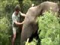 videos de Episode 8 Preview: Elephant capture