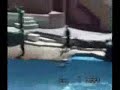 Golphin - Golfinho