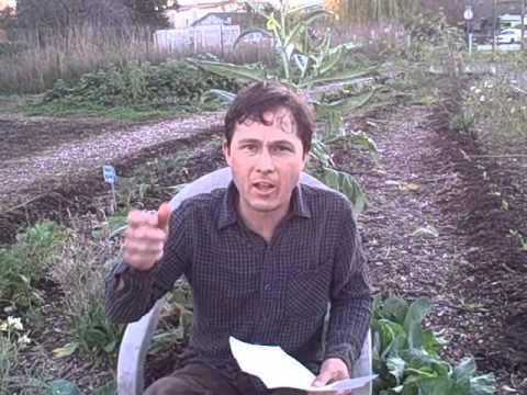 how to apply azomite to garden