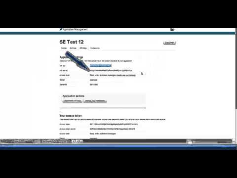 how to twitter api key
