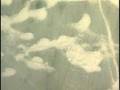 The Major National Parks of Europe-Part 1 - YouTube