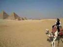 Camel Riding at Giza, Egypt II