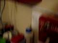 videos de System Test 3