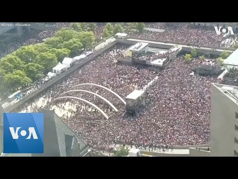 動画