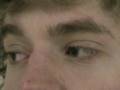 Staredown 2: The Final Stare
