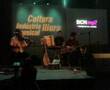 Nettle en concierto en el CCCB