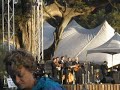 del mccoury band