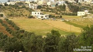 قرية المجد قرية المجد