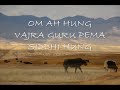 om ah hung vajra guru pema siddhi hung

information on vajra guru and the mantra, please visit this website. 
http://www.rinpoche.com/gurumantra.html