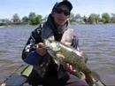 MONTAGE VIDEO ACHIGAN 5LBS