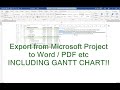 Export Ms Project To Pdf With Gantt Chart