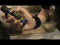 Royal python care vidio