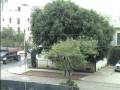 videos de Dec 2