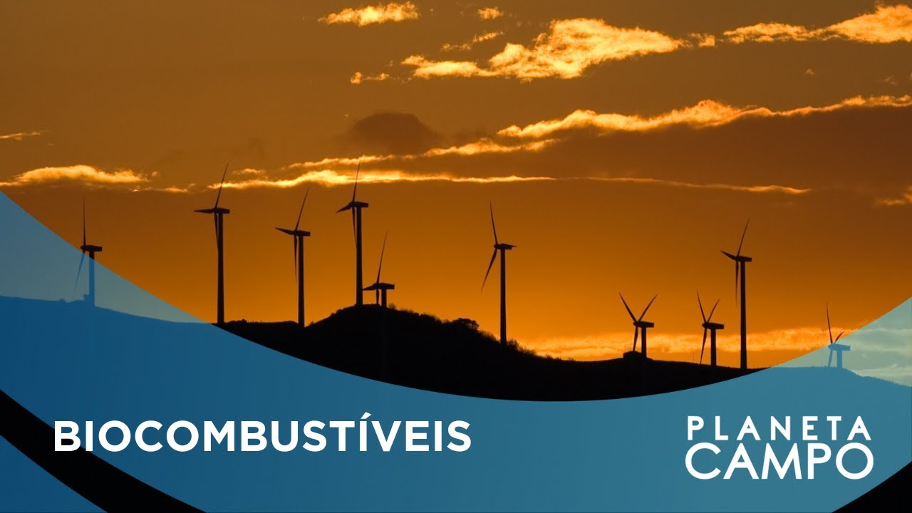 Nova fonte de renda para o produtor rural: descarbonização e combustível verde