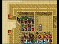 Rata De Dos Patas Tibia