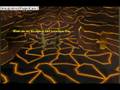 videos de syn gaming alien vrs penguintor #3 the master's plan