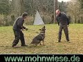 Preview video <strong>Taifun von der Mohnwie</strong>