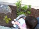 Vivian touching flowers