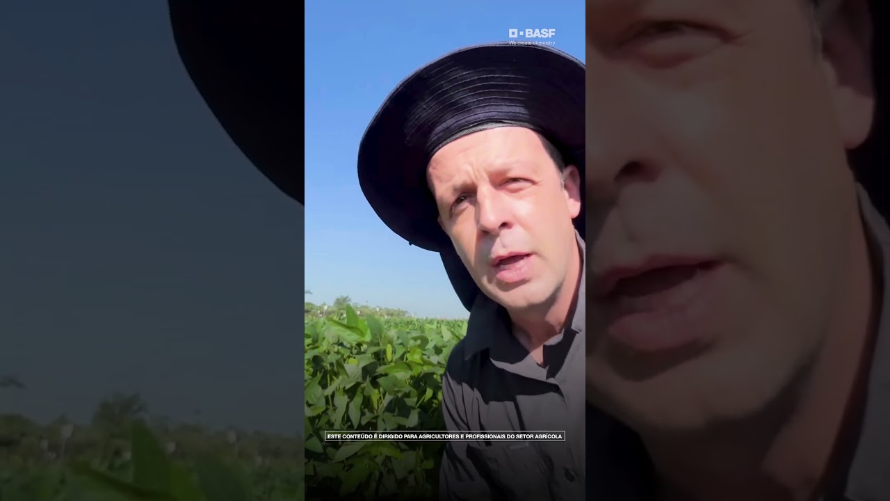 A Cercospora pode estar afetando a qualidade da sua Soja.