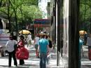 new york city