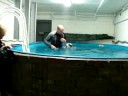 Blue in zwembad 2