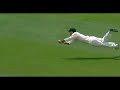 The Best of Cricket Version 1(Original)