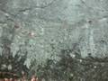 videos de E. Stony Creek, Bivy 11-08 005.MOV