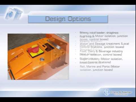 Kraus and Naimer Presentation Video image