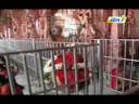 Sakthi Yugam - Part 1