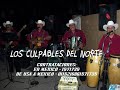 LOS CULPABLES DEL NORTE