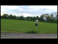 Kyosho Minium Fly Baby Kyosho Minium Fly Baby